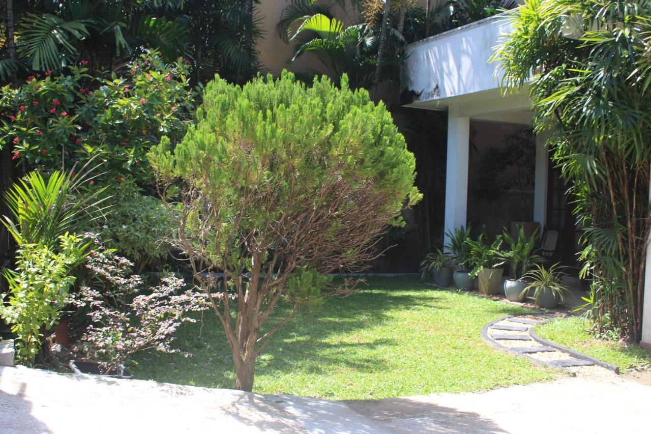 Bird'S Nest By Natures Bliss Ragama Exterior foto
