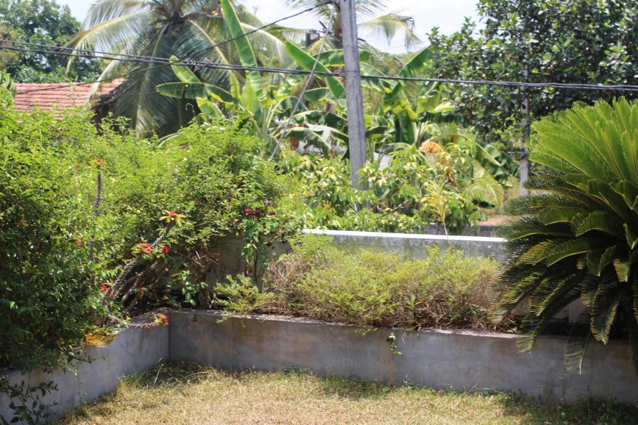 Bird'S Nest By Natures Bliss Ragama Exterior foto